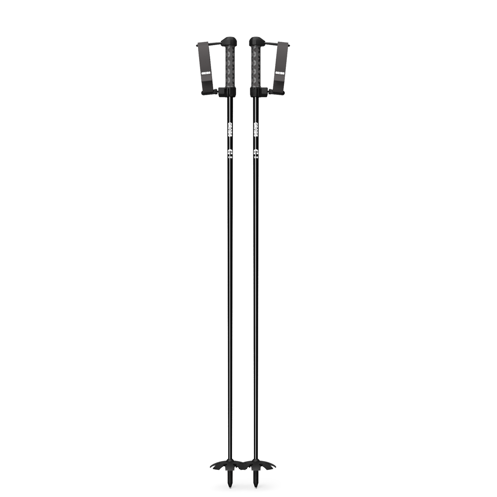 Grabs_Pro_v27_Pole_Pair_Side_View.webp